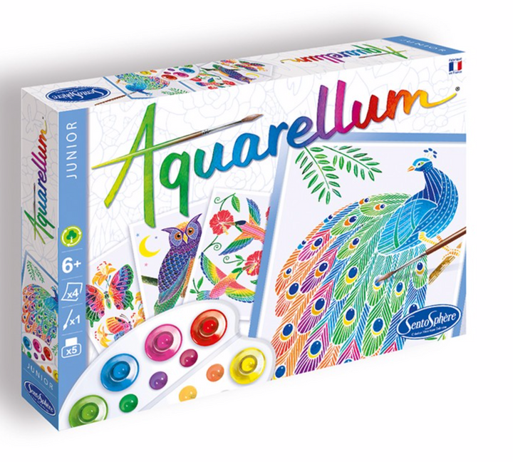 Aquarellum Junior