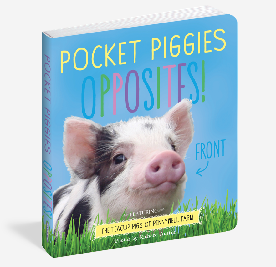 Pocket Piggies Board Books