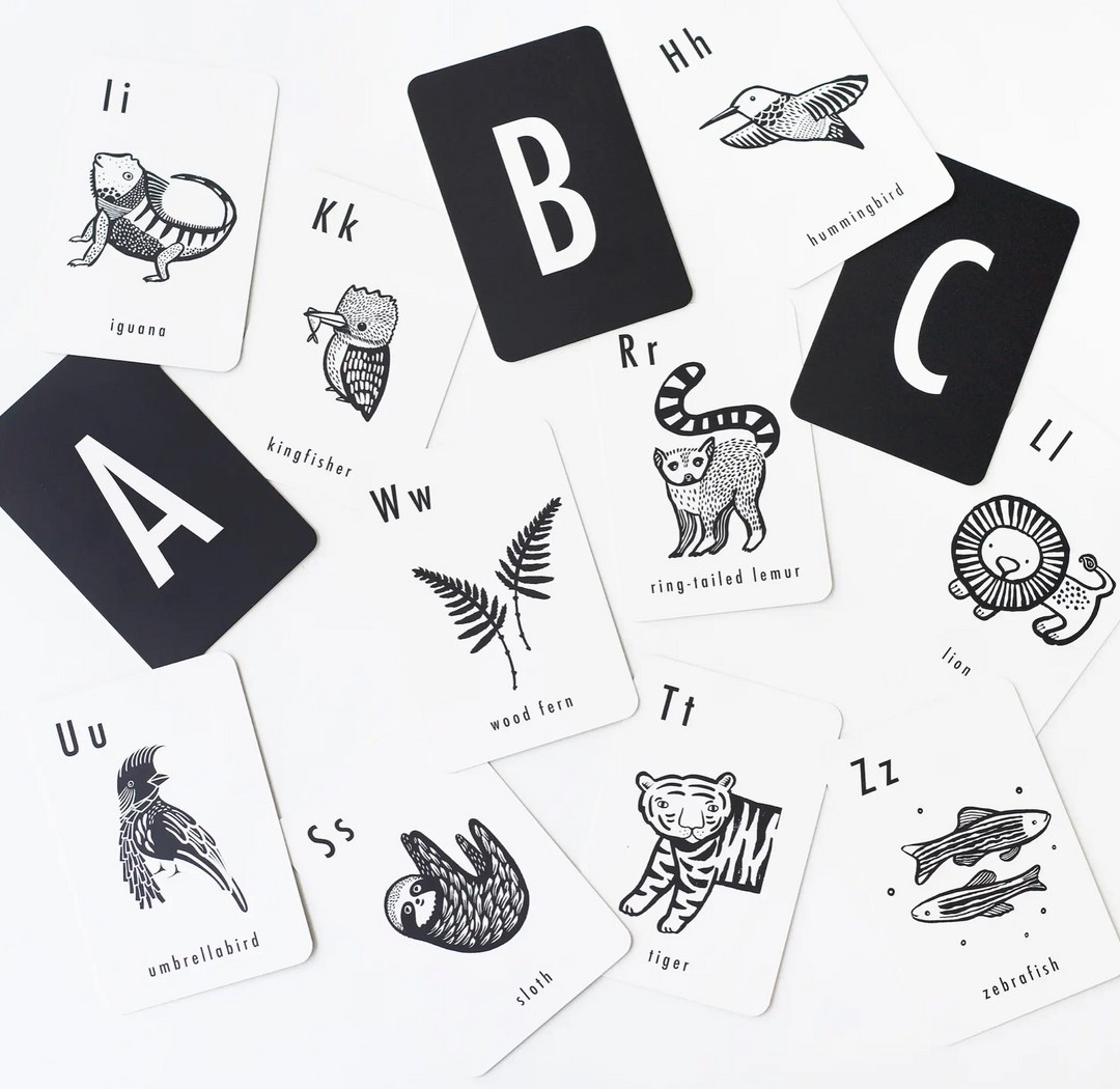 Alphabet Cards