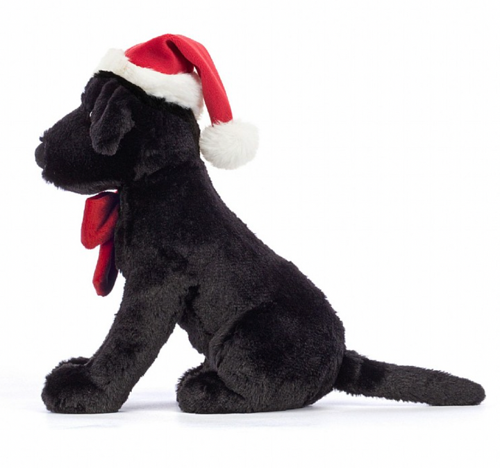 Pippa Black Lab Winter Warmer Dog